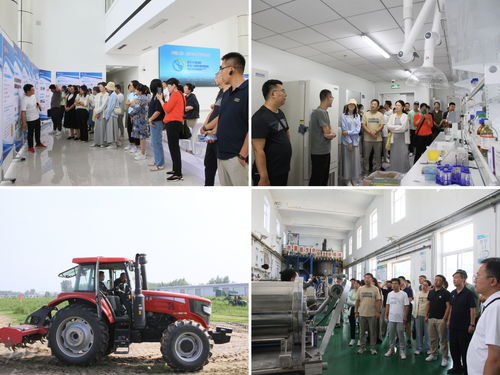 內(nèi)蒙古農(nóng)大AI創(chuàng)新教學(xué)與科研能力提升培訓(xùn)班在涿州教學(xué)實(shí)驗(yàn)場(chǎng)圓滿收官