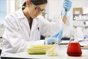 化學工程與工藝與農(nóng)業(yè)科學研究的融合與發(fā)展