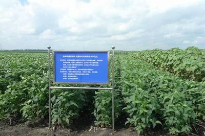 廣東省加大國(guó)家農(nóng)業(yè)科研項(xiàng)目扶持力度，推動(dòng)農(nóng)業(yè)科技發(fā)展