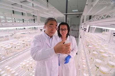 5·30來啦！河南科技工作者暢談農(nóng)業(yè)科學研究和試驗發(fā)展新篇章