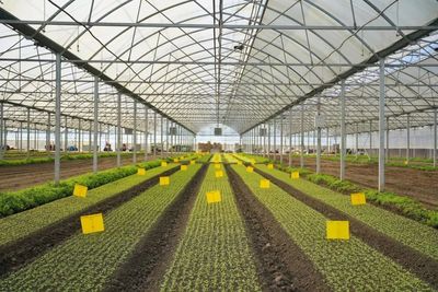 區(qū)領(lǐng)導(dǎo)深入調(diào)研農(nóng)業(yè)科創(chuàng)谷推進(jìn)工作，強(qiáng)調(diào)以科技創(chuàng)新驅(qū)動(dòng)農(nóng)業(yè)現(xiàn)代化發(fā)展